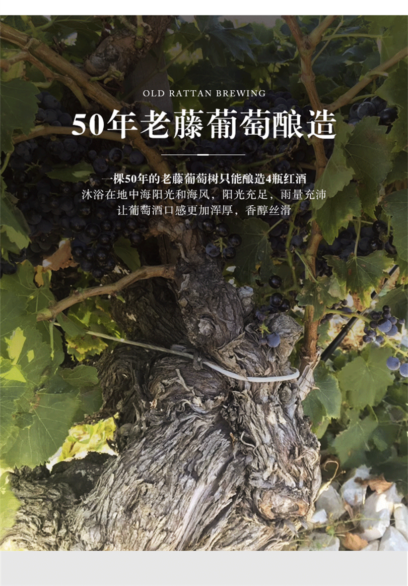 芙华葡萄酒红酒