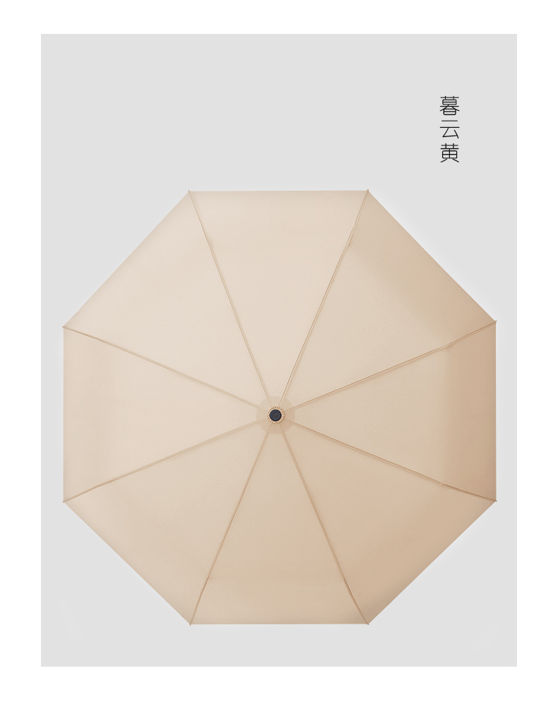 雨伞