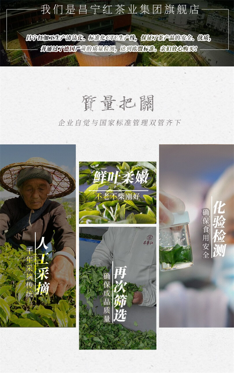 普洱茶