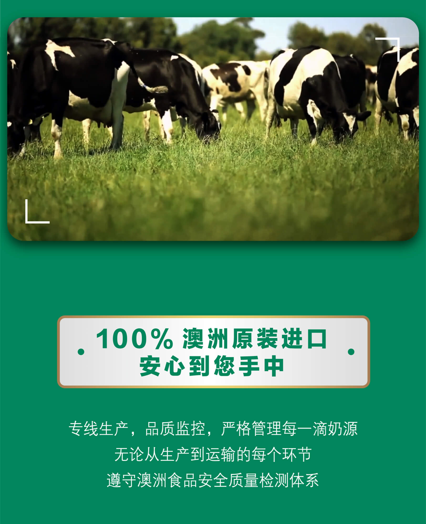 蒙牛纯牛奶