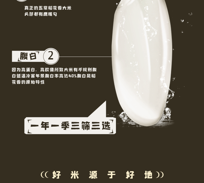 大米