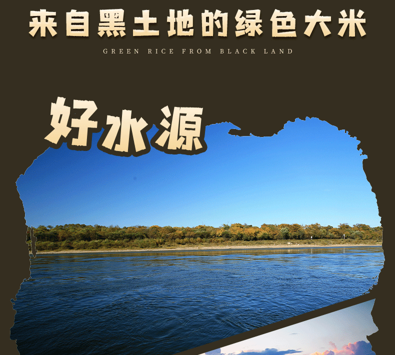 大米