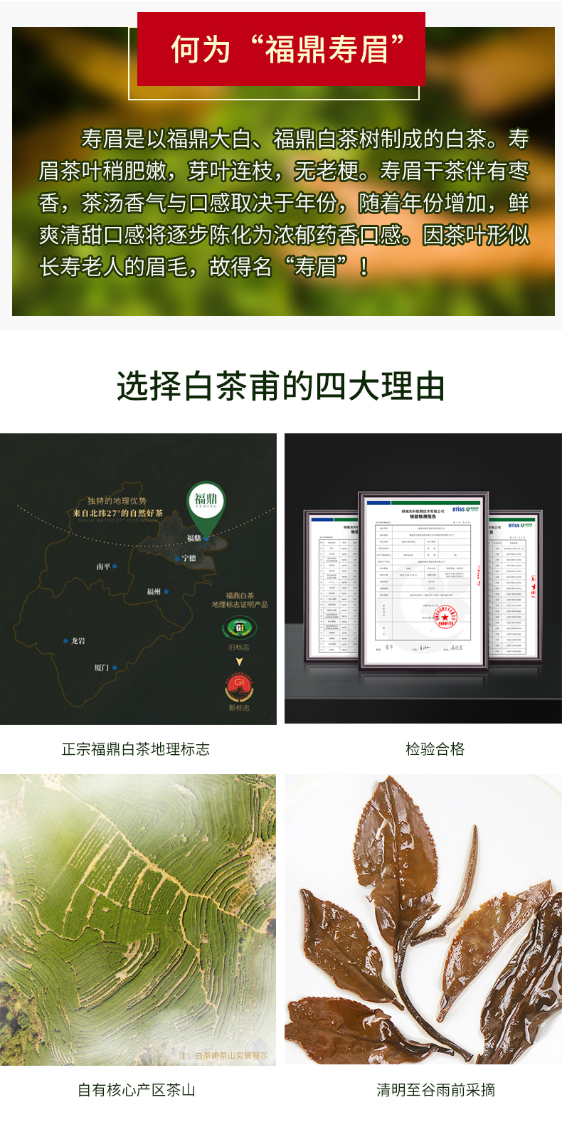 白茶