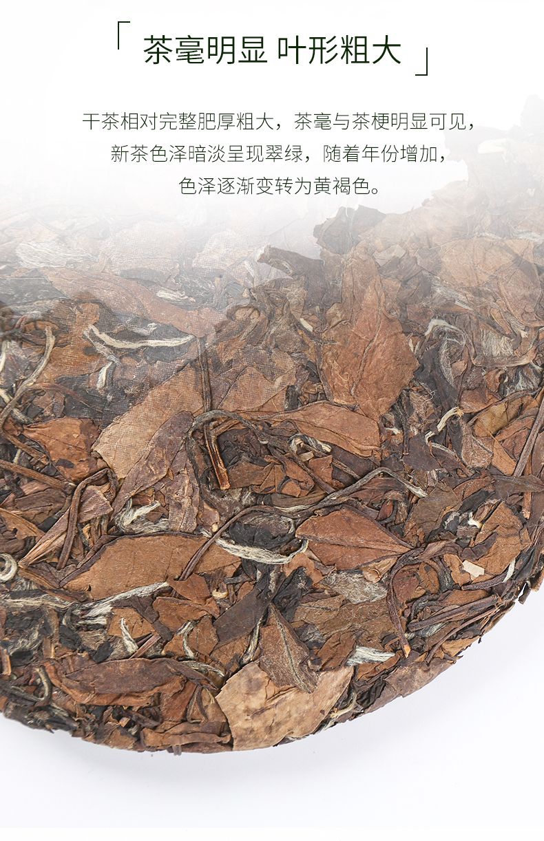 白茶
