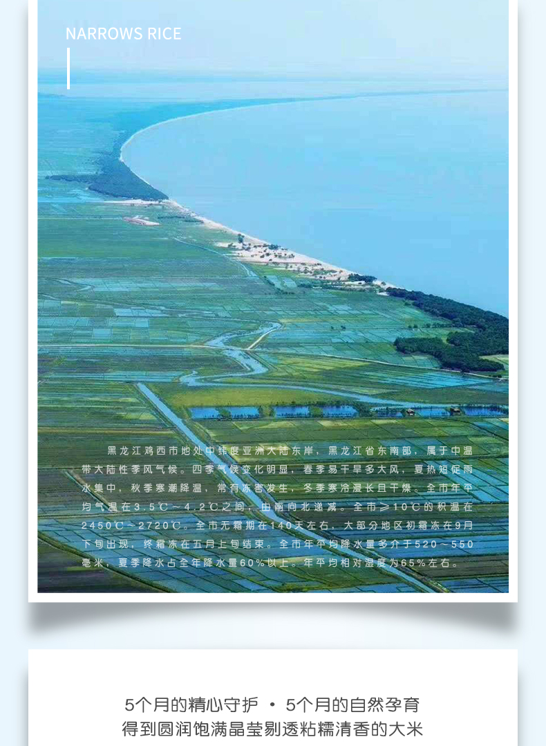 长粒香米