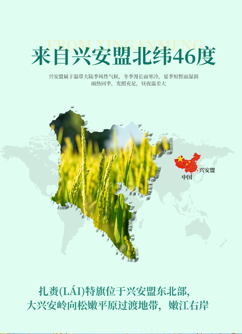 大米