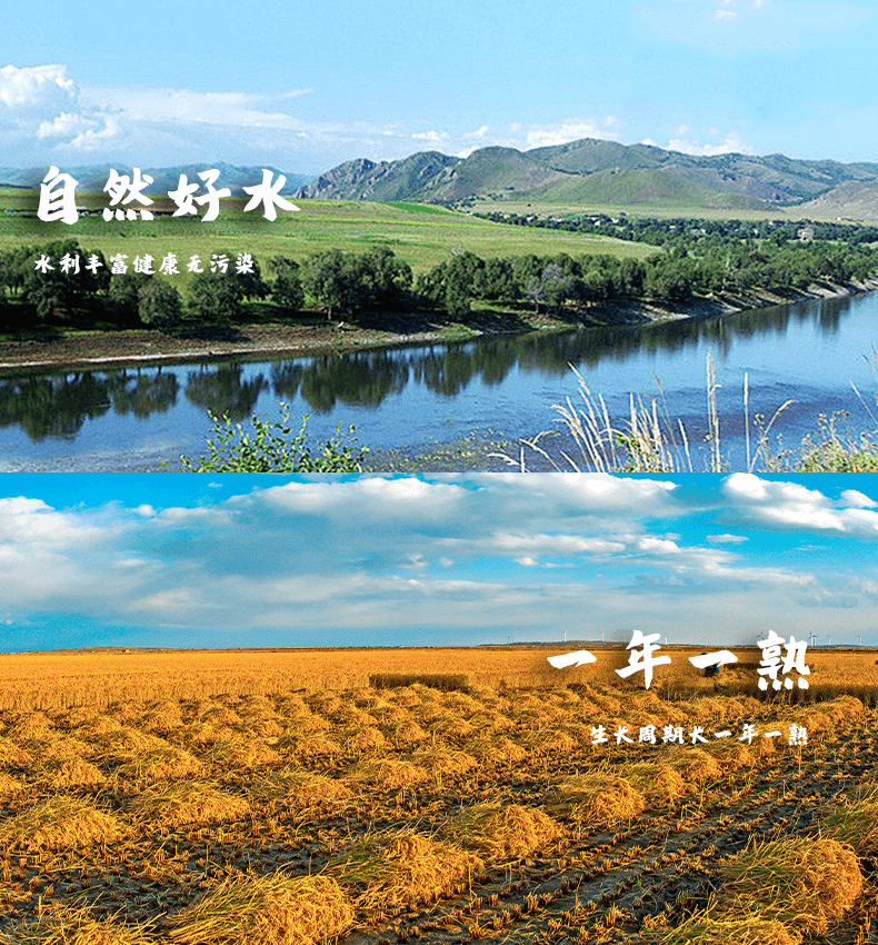 大米