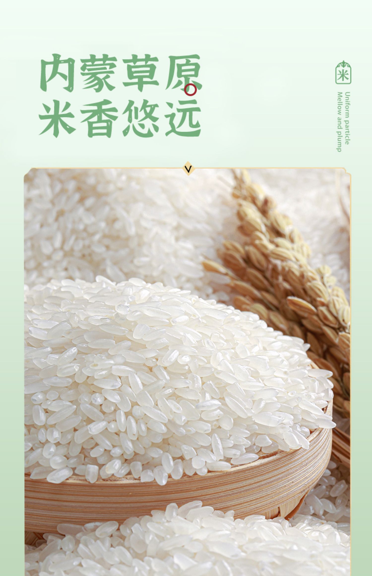 大米