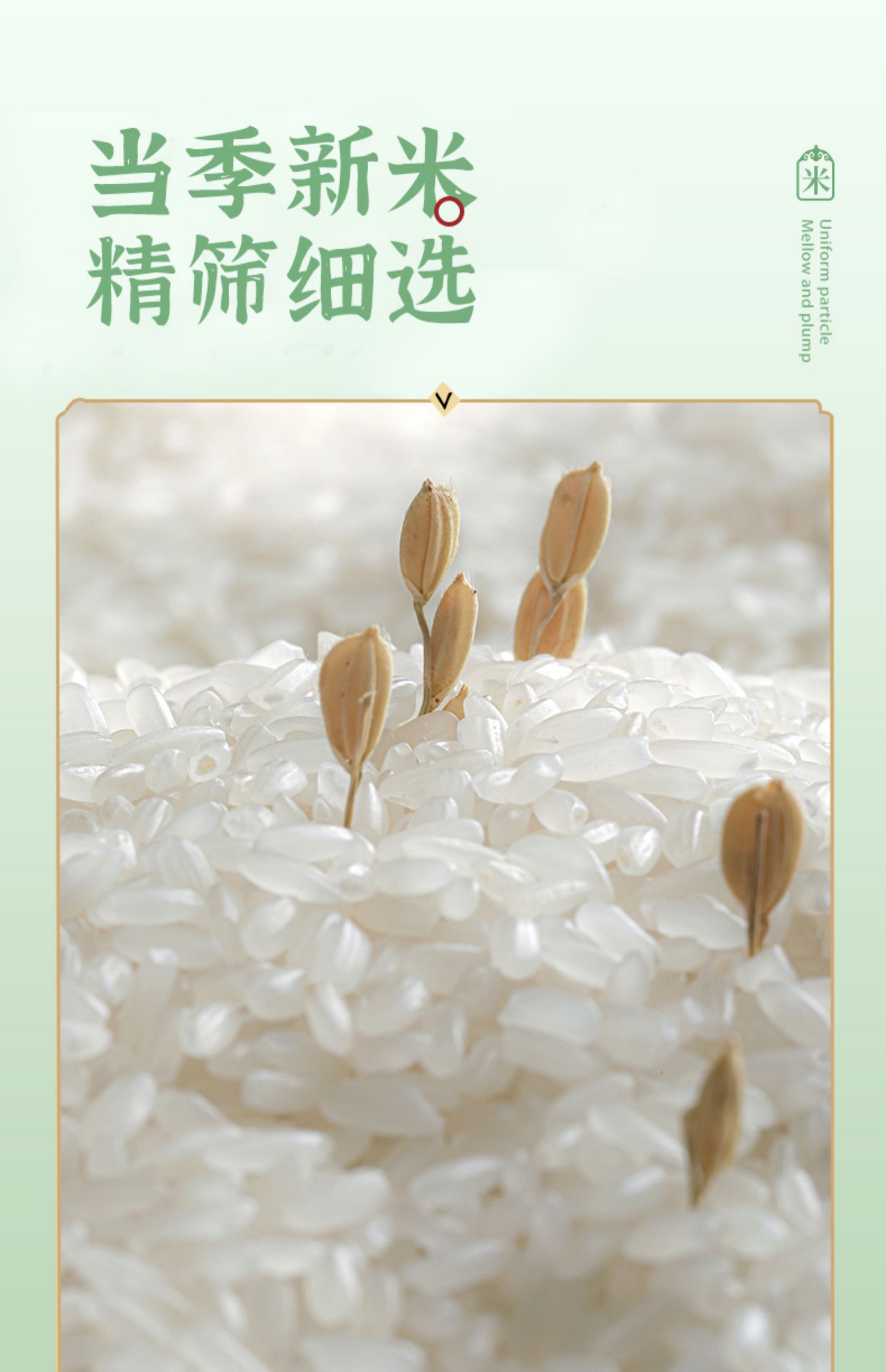 大米