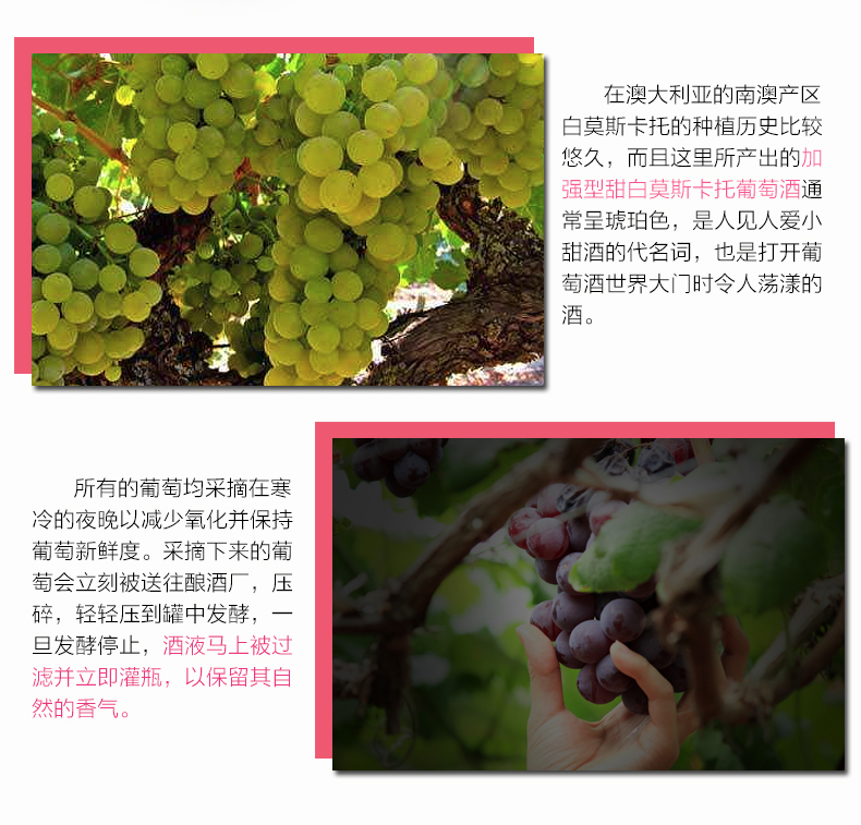 白葡萄酒
