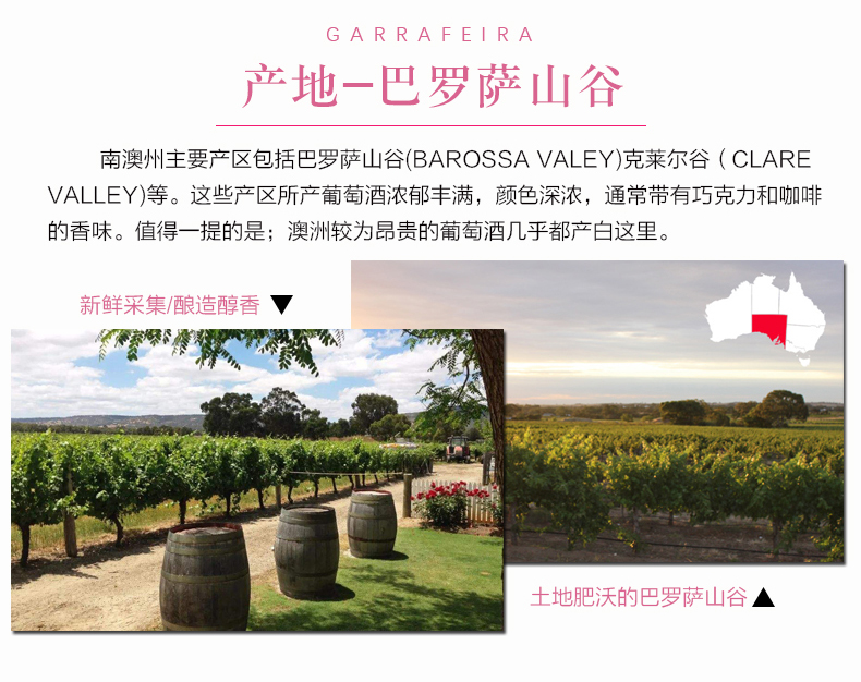 白葡萄酒