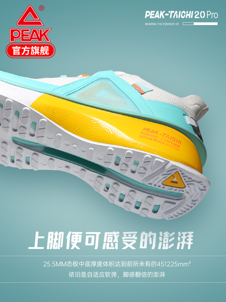 匹克态极