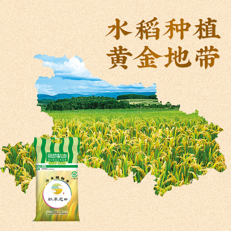 大米