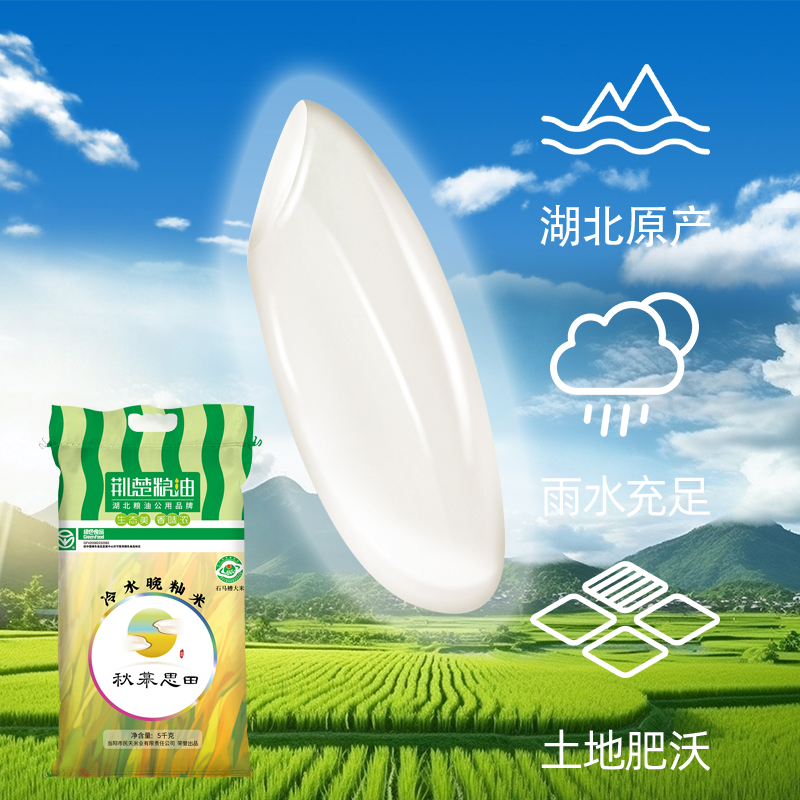大米