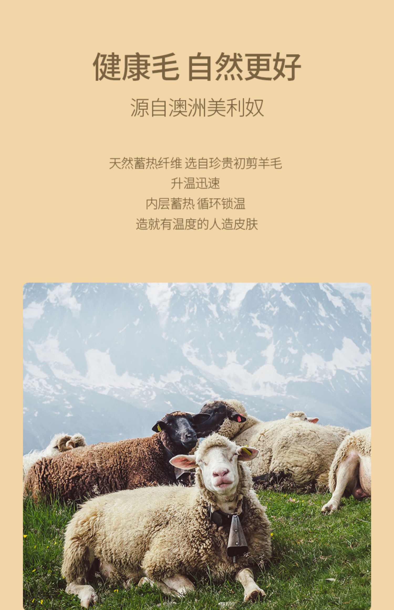 羊毛袜
