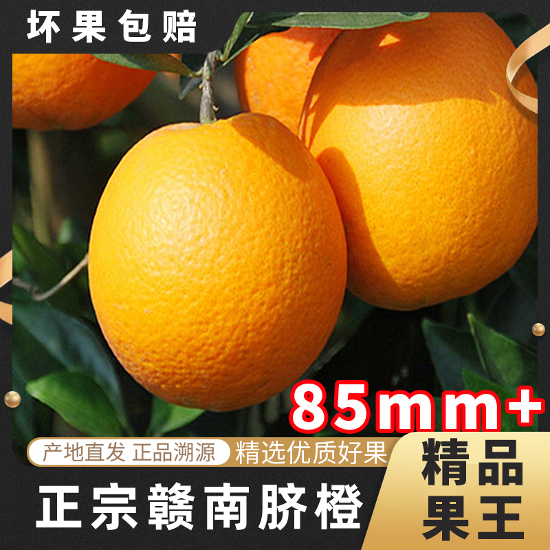 赣州脐橙
