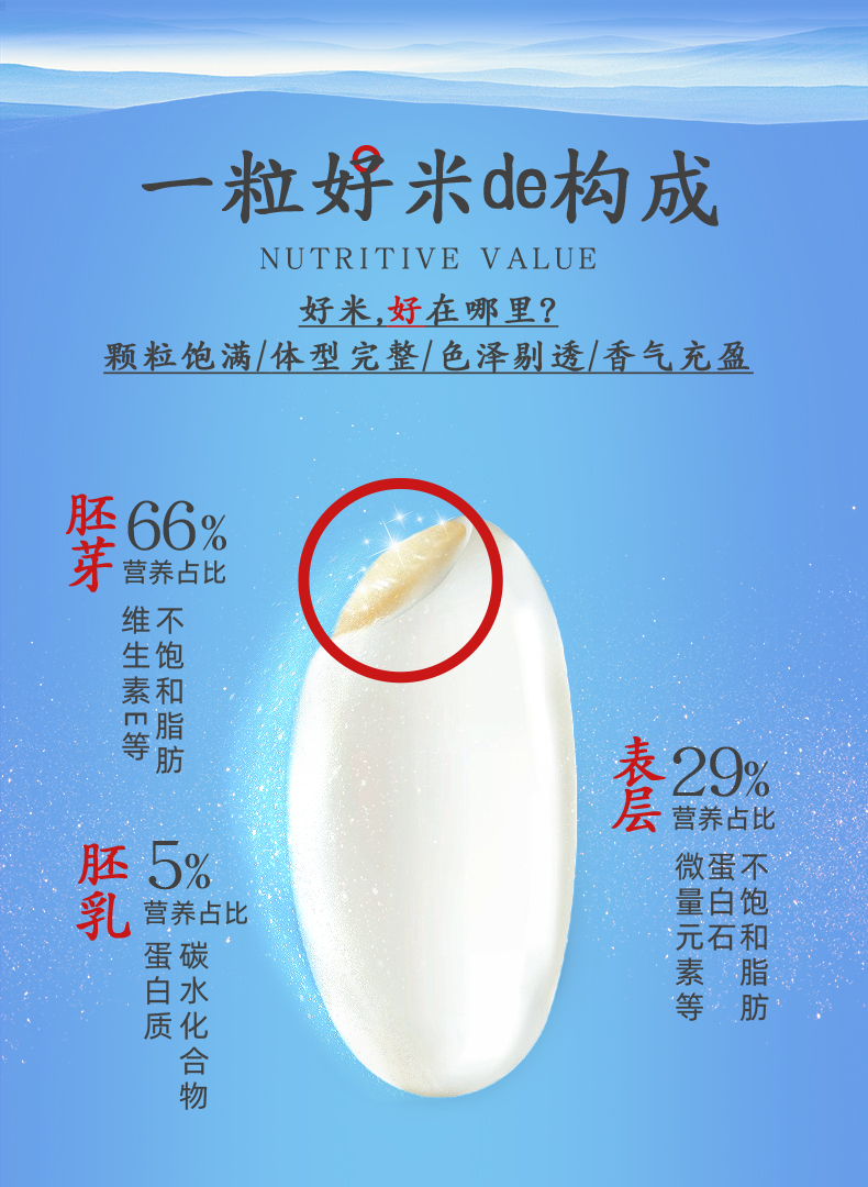 大米