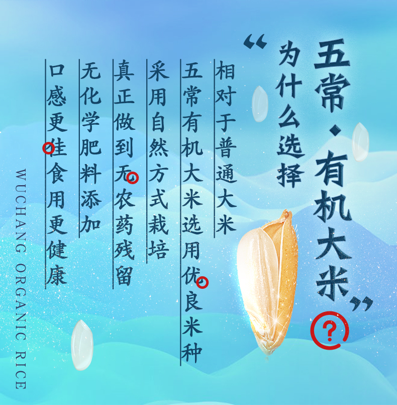 大米