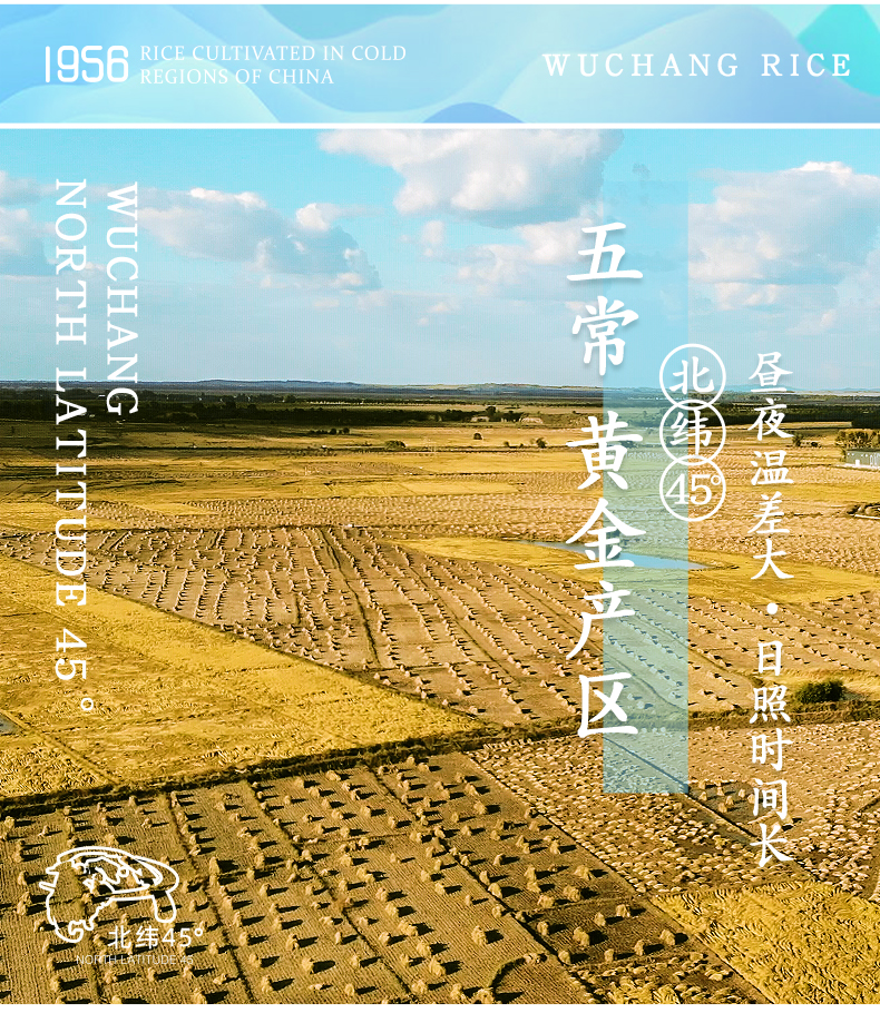 大米
