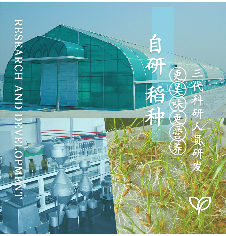 大米